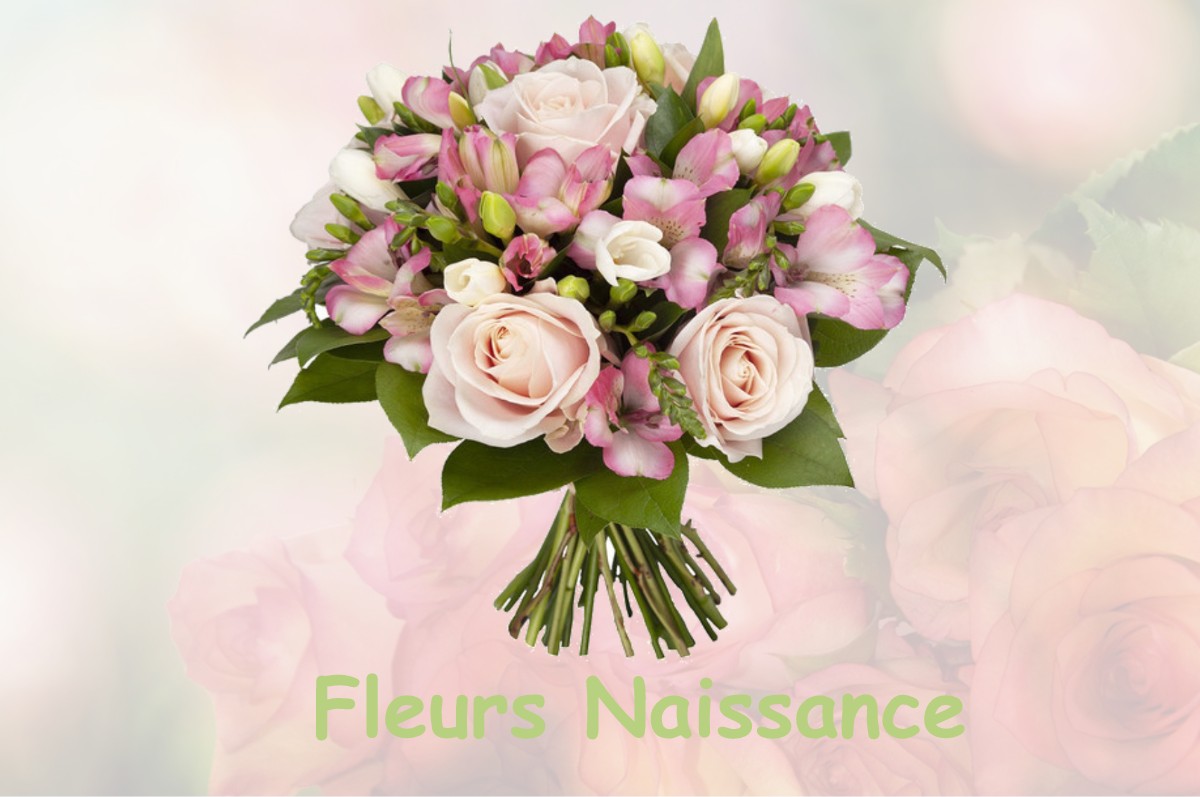 fleurs naissance GABARRET