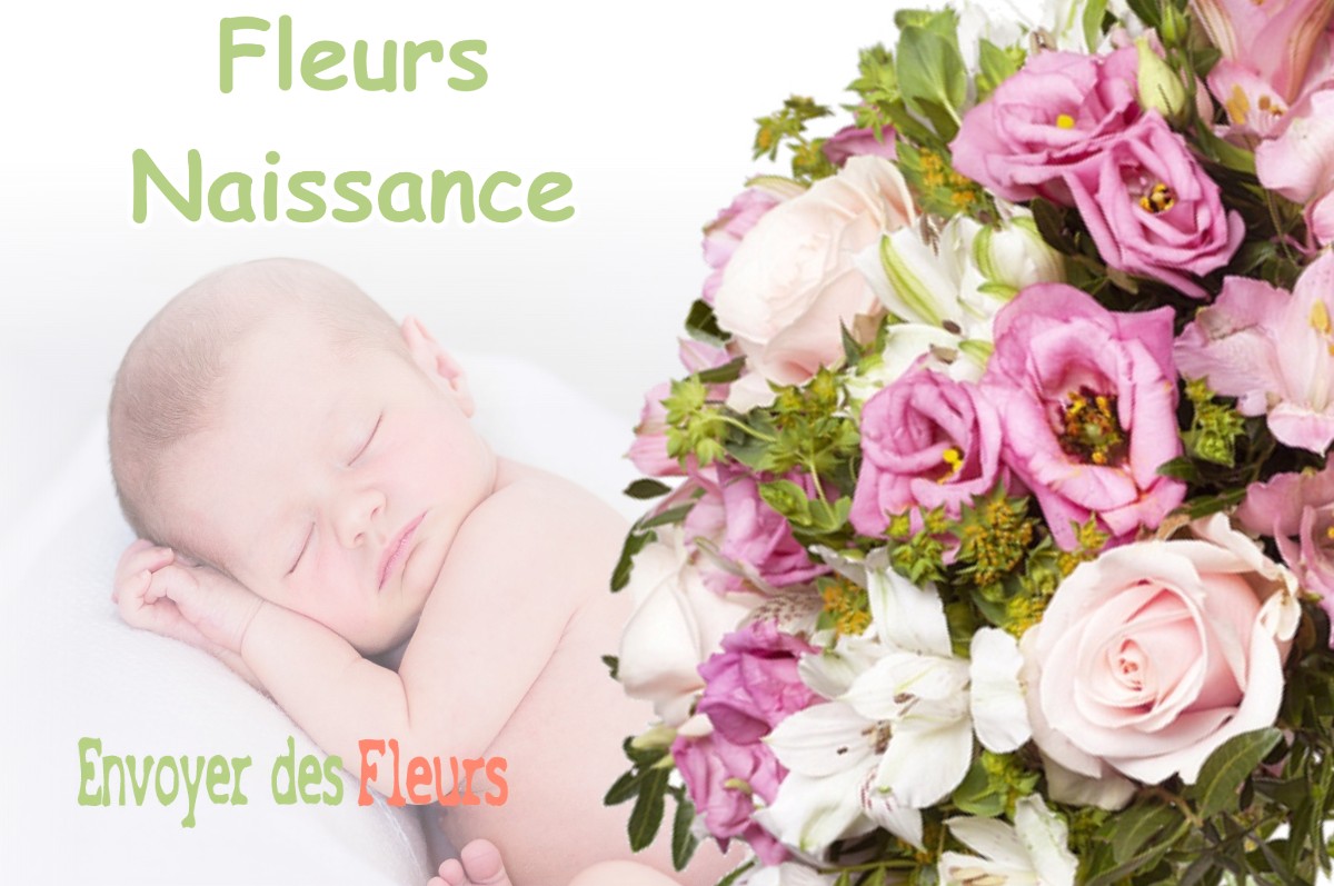 lIVRAISON FLEURS NAISSANCE à GABARRET